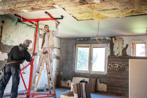 Best Attic Insulation Installation  in Stedman, NC