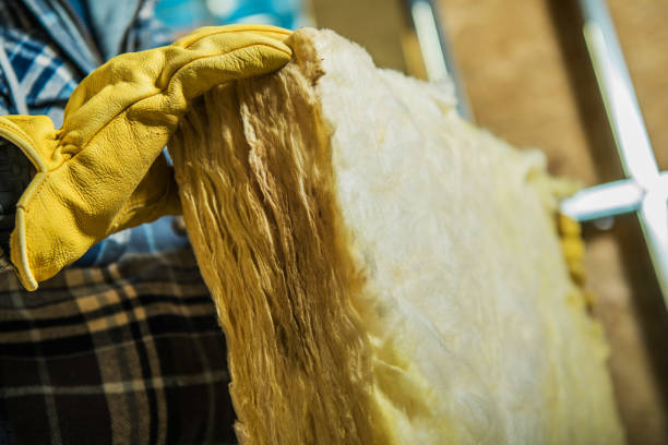 Best Home Insulation Services  in Stedman, NC