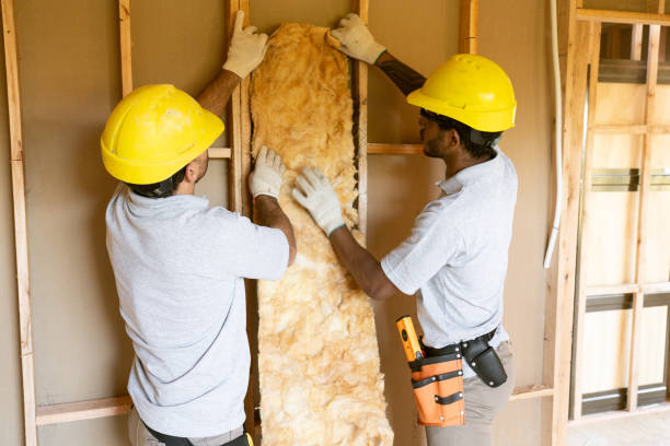 Best Insulation Replacement Services  in Stedman, NC