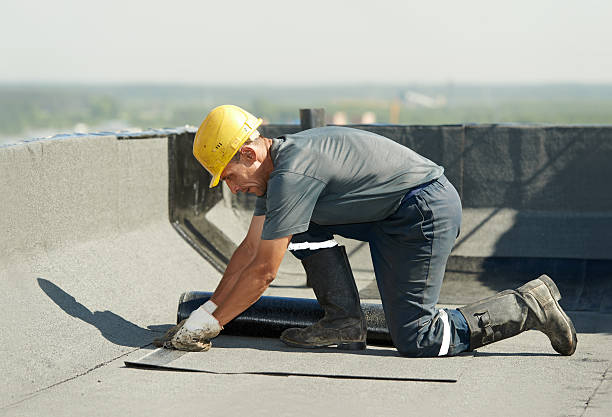 Best Insulation Removal  in Stedman, NC