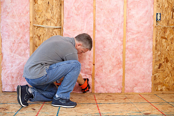 Best Garage Insulation Installation  in Stedman, NC