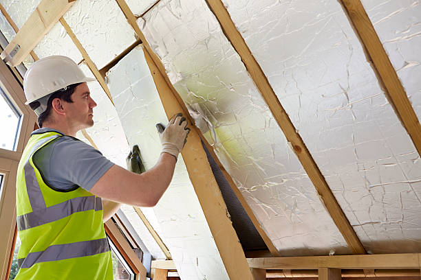 Best Spray Foam Insulation  in Stedman, NC