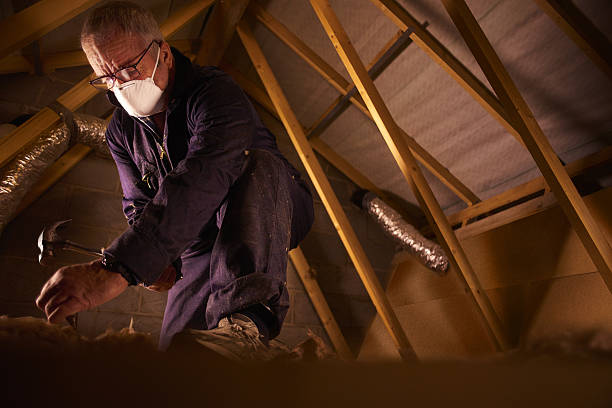 Best Local Insulation Services  in Stedman, NC