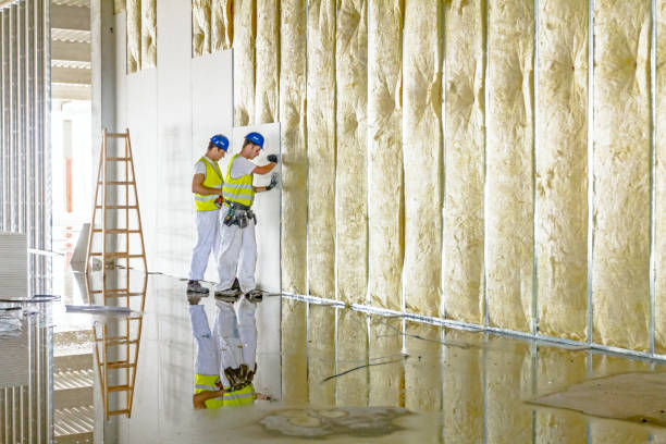 Best Blown-in Insulation  in Stedman, NC